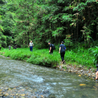 生态文学丨贺文春:雨林深处侗人家