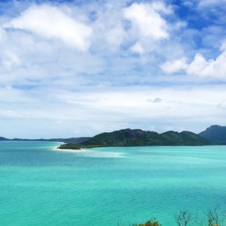 芙蓉·散文丨舒飞廉:你们的名字