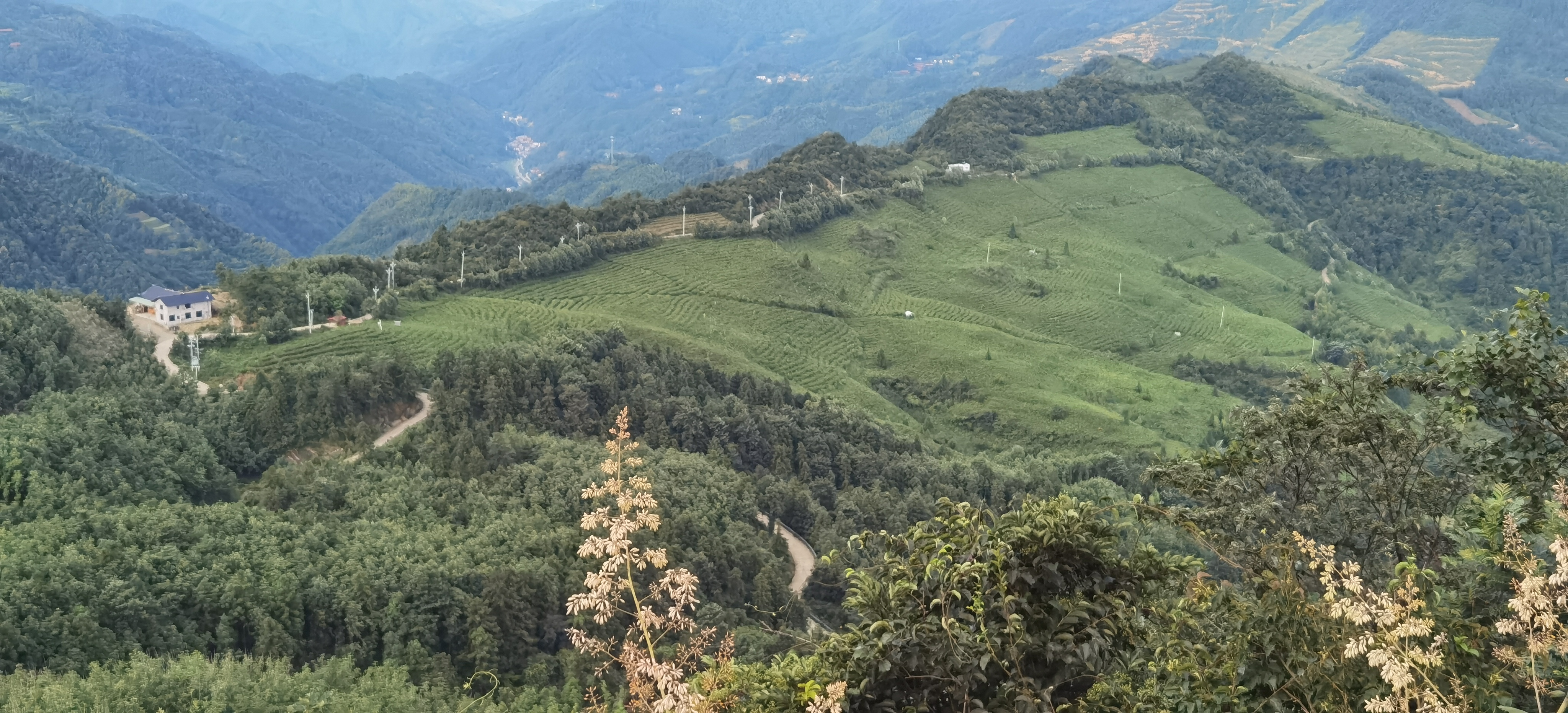 图片2.png 图片2.png