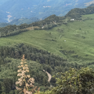 散文丨刘军麒、曾来生:踏访六步溪——溪山藏韵,人文蕴魂