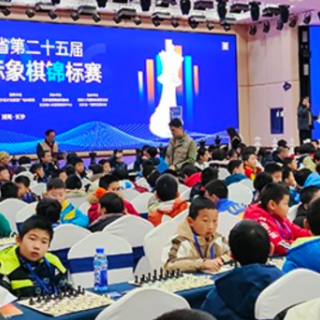 湖南省第二十五届国际象棋锦标赛落幕