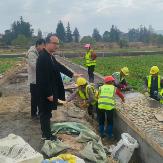 汝城县大坪镇:项目攻坚暖民心 蓄势待发迎花海