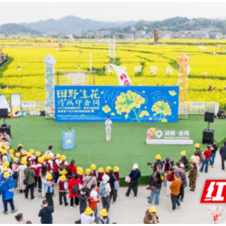 怀化丨会同县以诗画花海为媒 开展“护苗·绿书签行动”