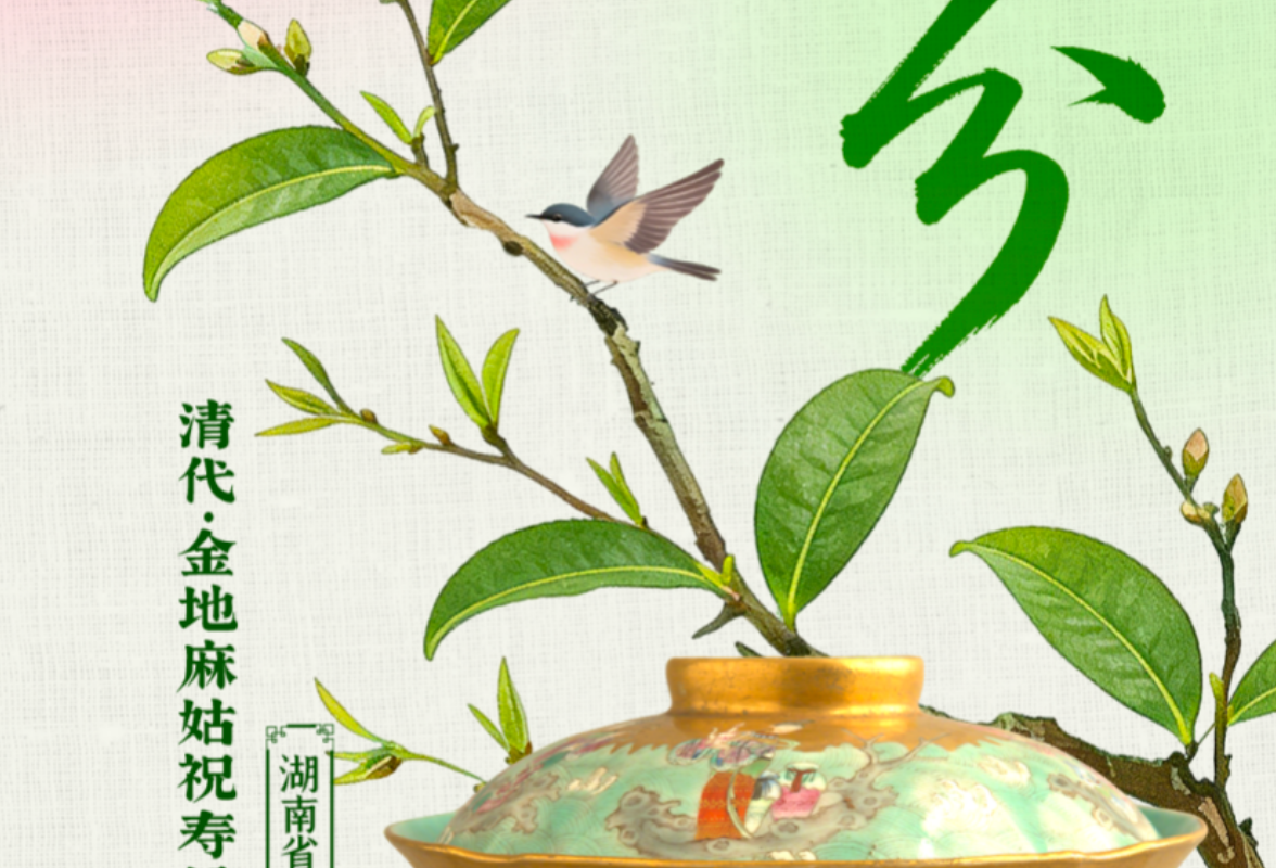 湘见万年·时序藏珍丨春分:一盏春分茶,满盏芳华春