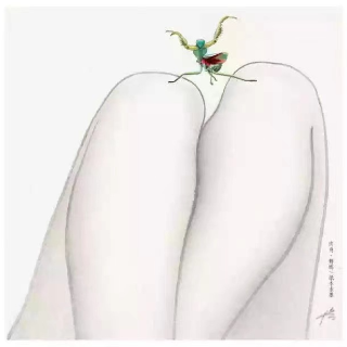 诗与画：与蚁同行