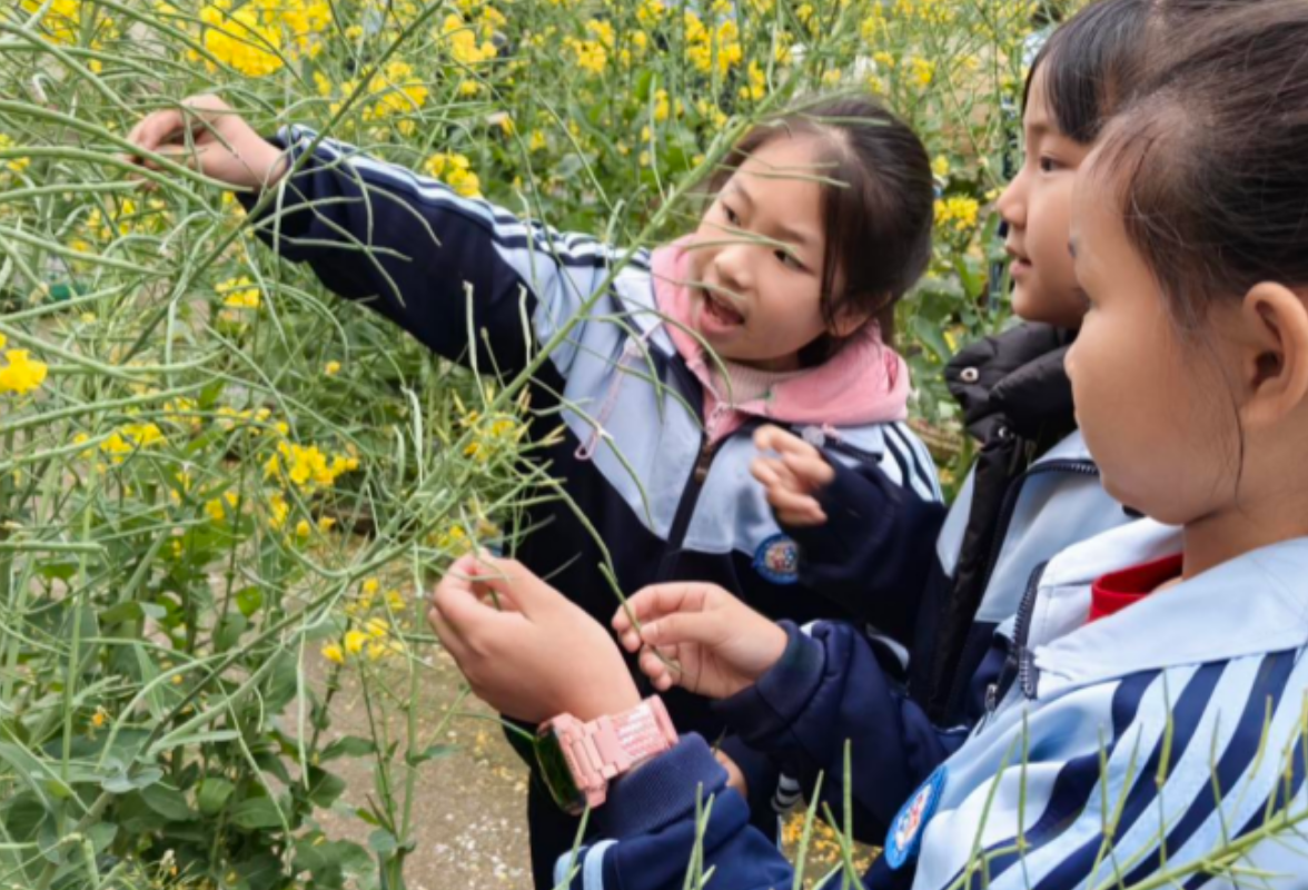 石鼓同兴路小学开展春日实践