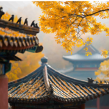 散文｜许云锦：一眼千年的雕像