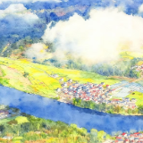 诗画乡村丨梁雅白:花仙子在春天遗落的调色板