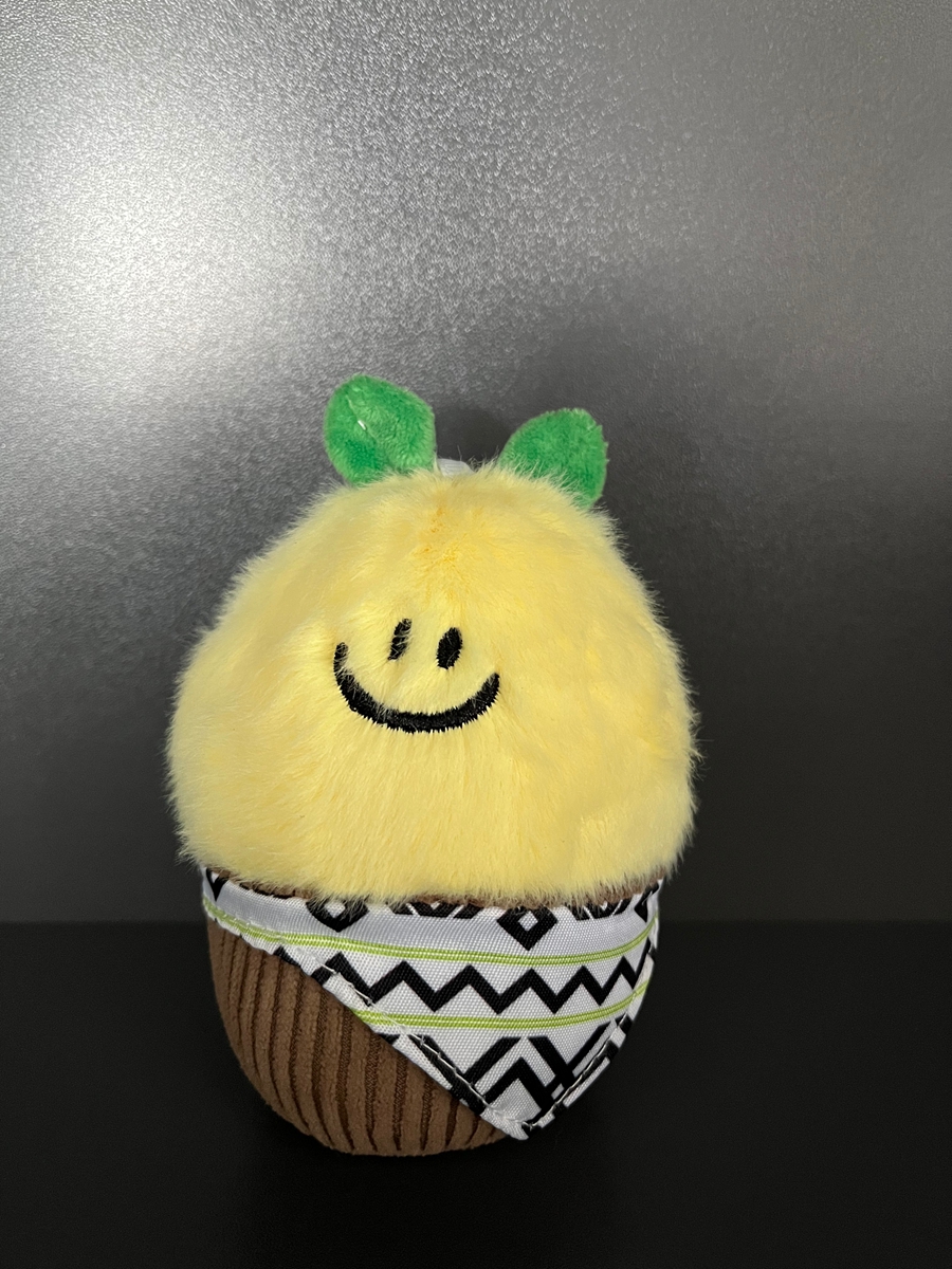 YSW154一篮福果毛绒挂件（安江香柚）.jpg