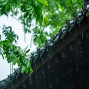 刘国瑛：二十四节气丛谈·雨水