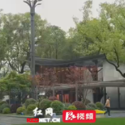 视频丨大变样！ “馆园融合”落地亮相获市民点赞