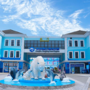 入园体验再升级！长沙湘江海洋王国北门正式开放