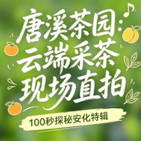 100秒探秘安化丨唐溪茶园：云端采茶现场直拍