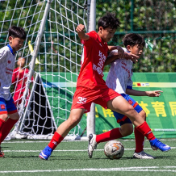 2026年第十九届“德馨杯”少儿足球邀请赛落幕