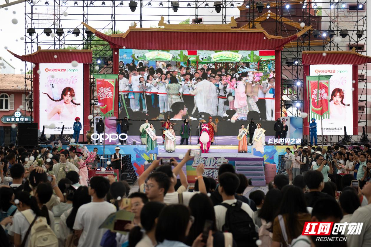 图片19.png 图片19.png