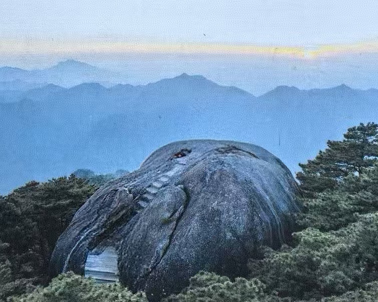 1.jpg 1.jpg