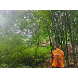 中国人寿重庆市分公司护“绿”前行