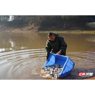 我爱湘潭我的家丨湘潭放流2.84万斤鱼苗 绘就大水面生态渔业新图景