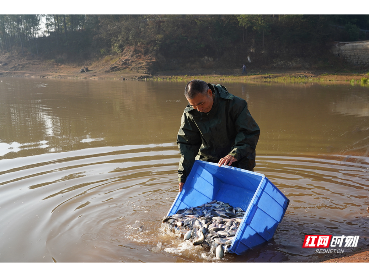 我爱湘潭我的家丨湘潭放流2.84万斤鱼苗 绘就大水面生态渔业新图景