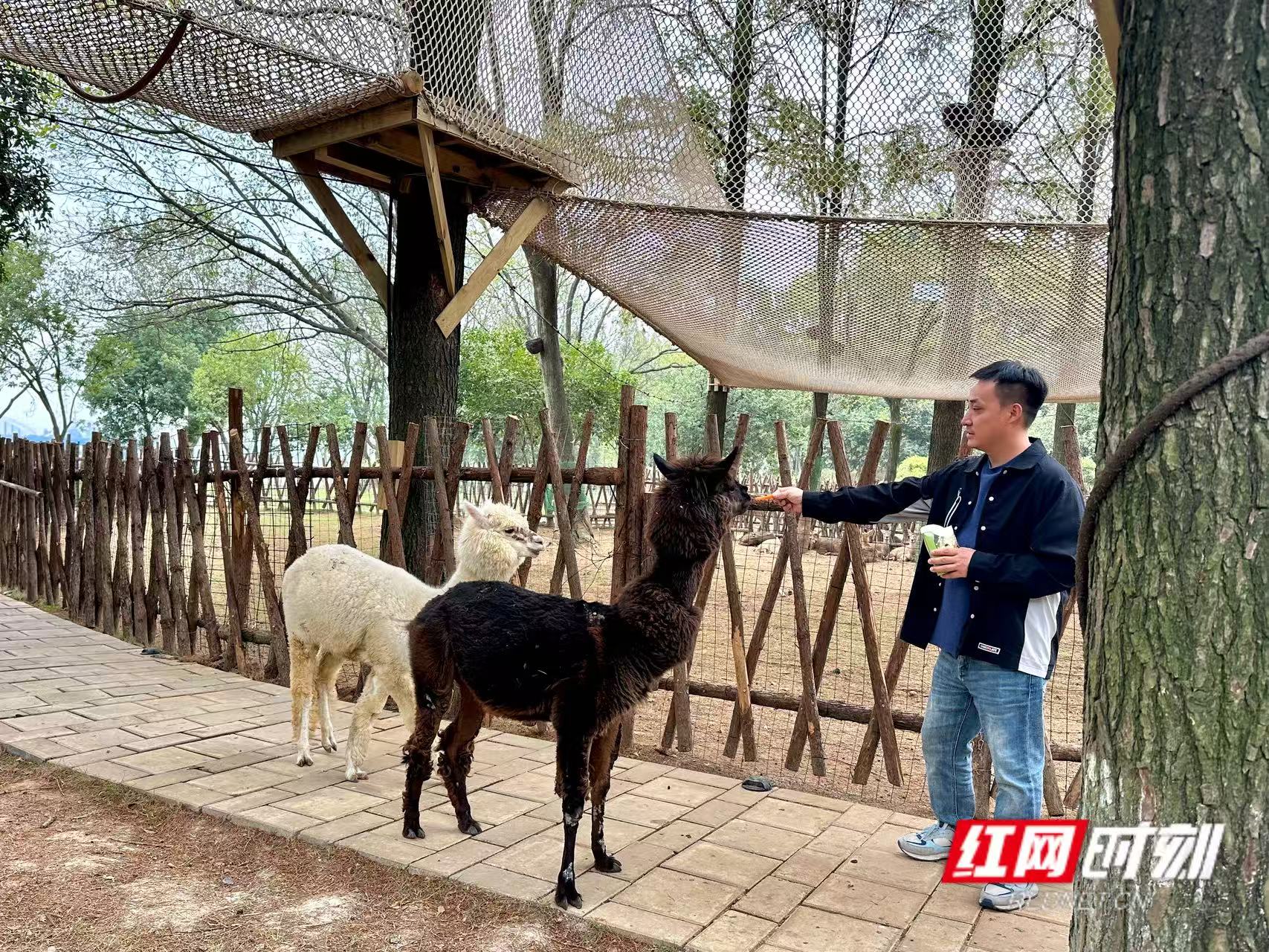 微信图片_20261022185029_230_2.jpg