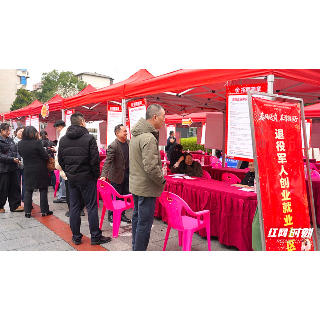 2026年岳塘区春风行动“职聚莲城”新春首场招聘会举行