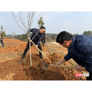 湘乡市退役军人事务局：义务植树添新绿 主题党日践初心