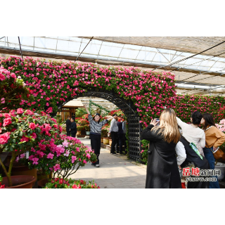 湘潭盘龙大观园：邀您共赴一场多彩春日之约