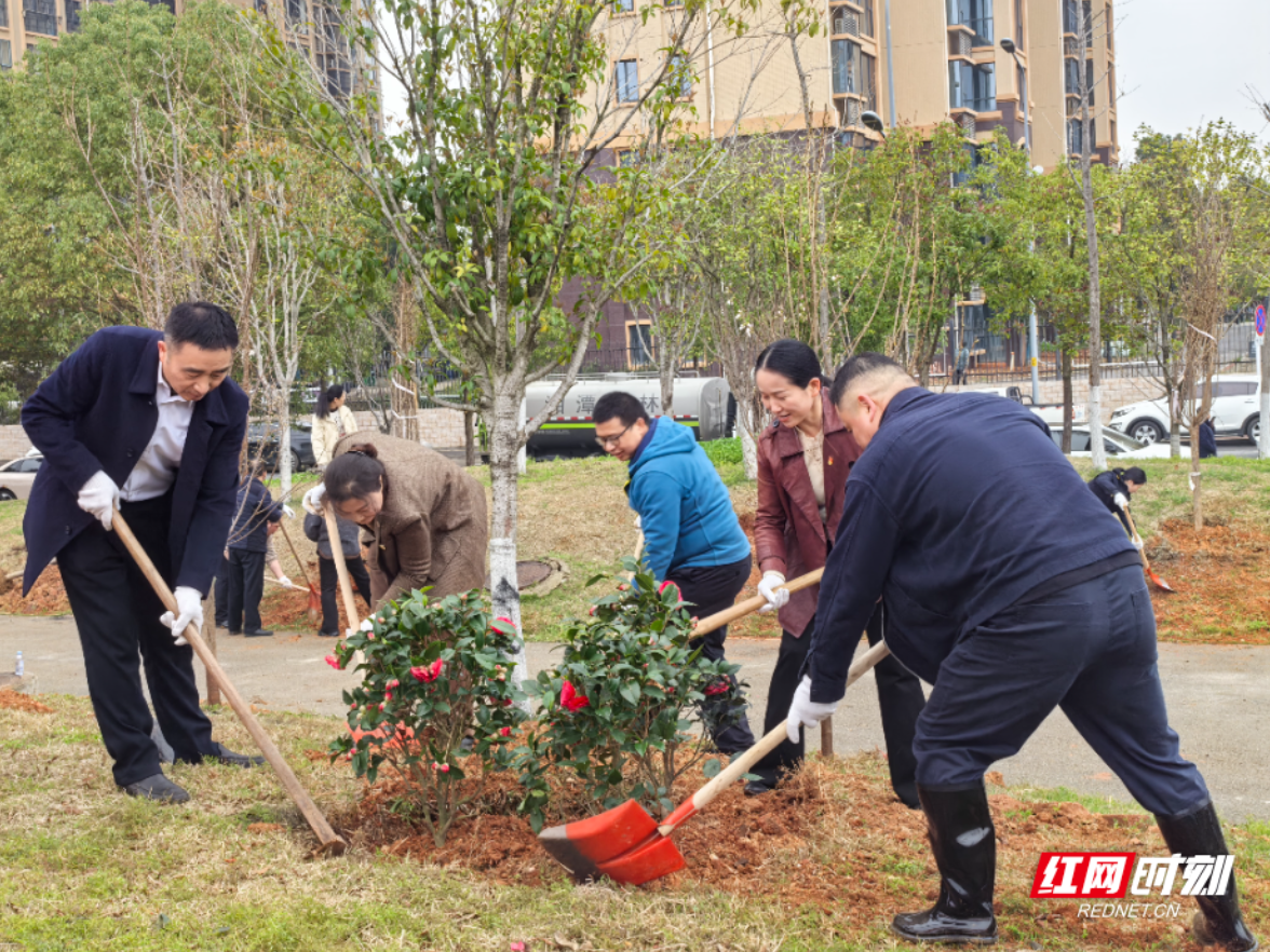 青春携手 “植”此青绿 湘潭市直机关青年开展学雷锋义务植树活动