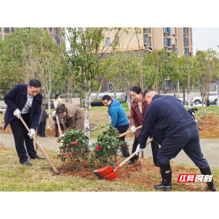 青春携手 “植”此青绿 湘潭市直机关青年开展学雷锋义务植树活动