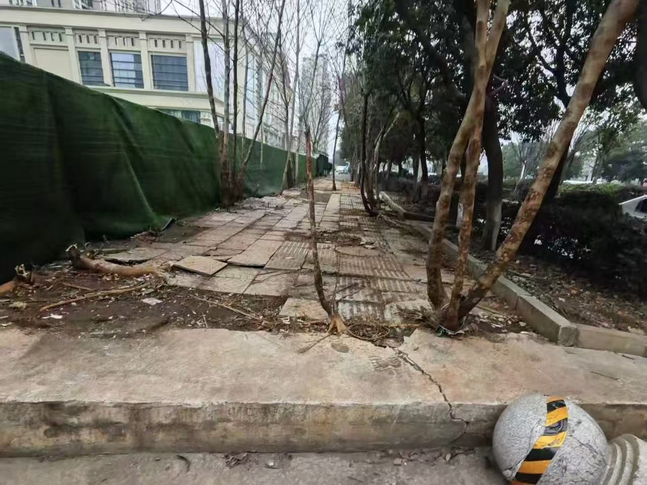 微信图片_20260326104134_816_8.jpg 微信图片_20260326104134_816_8.jpg