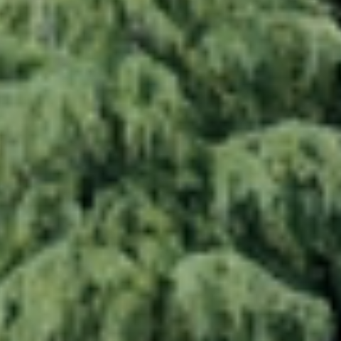 “锋”火湘传 丨韶山这群“提灯者” 让红色之光照亮百万学子前行路