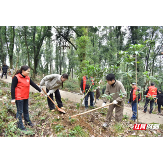 湘乡市林业局老干支部“银发专家”春季护林忙