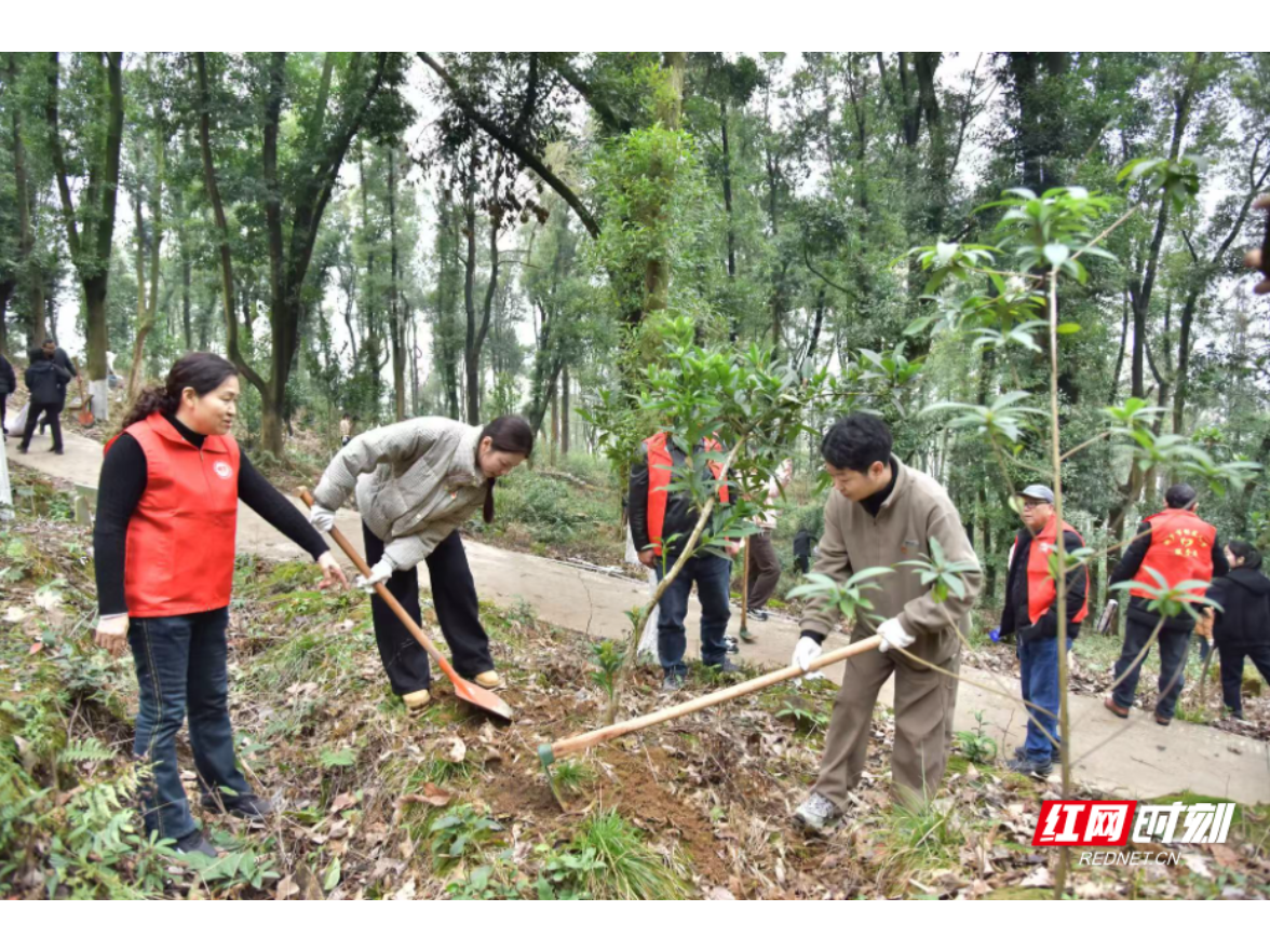湘乡市林业局老干支部“银发专家”春季护林忙
