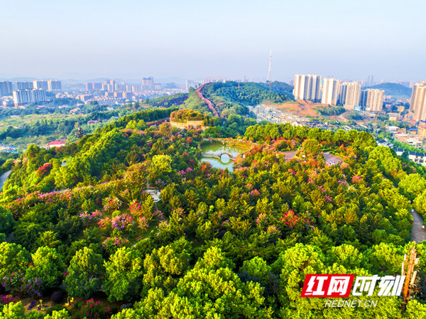 双龙紫薇园 (1)_副本.jpg