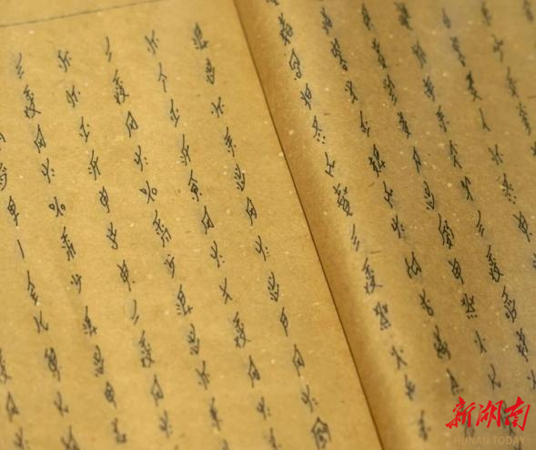 微信图片_2026-05-22_174848_925.png 微信图片_2026-05-22_174848_925.png