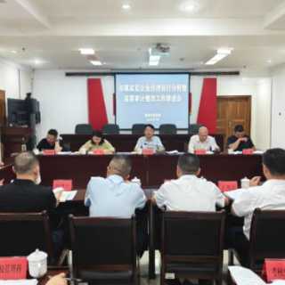 湘潭市国资委召开半年度国资国企改革发展重点工作调度推进会