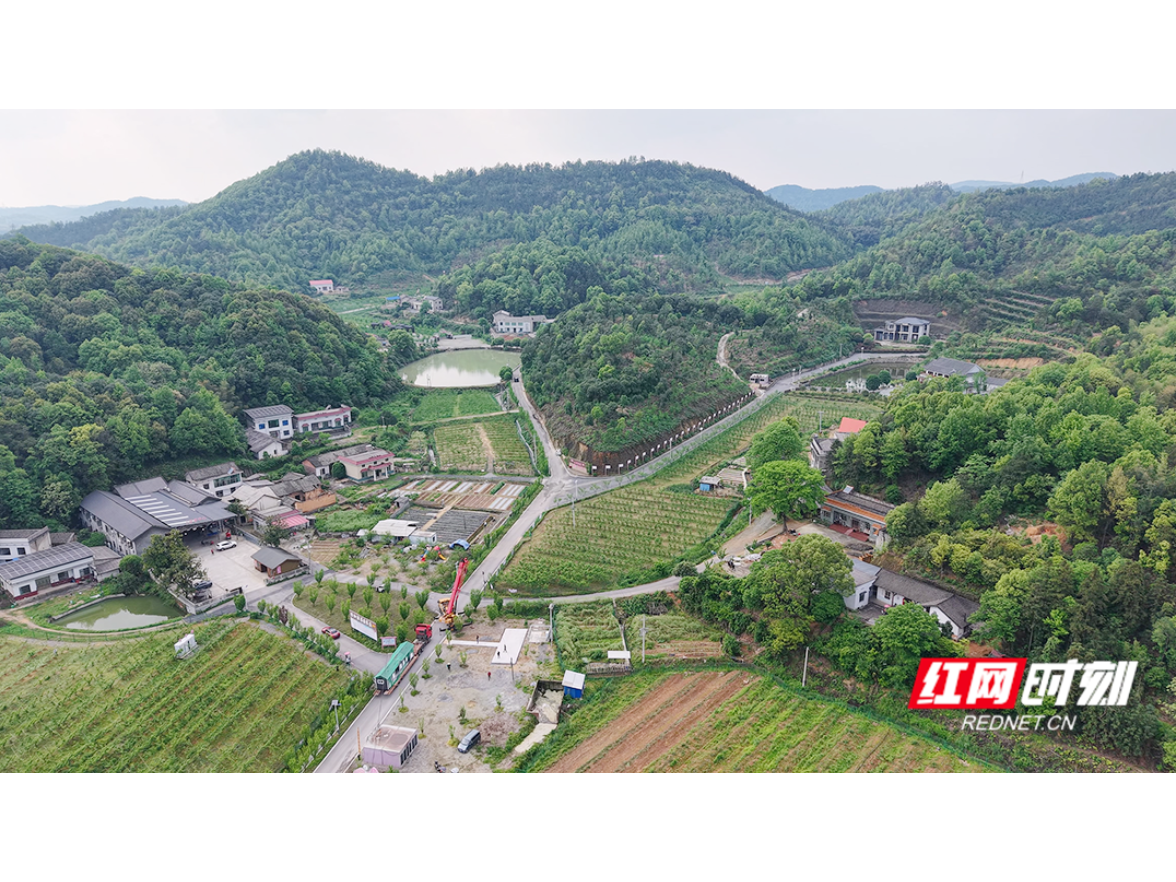 湘潭：一个“桃子姐”带出满园春 昭山镇“驻点连片”结硕果