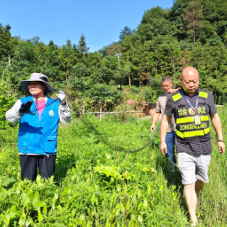 湘潭设立“巡林日” 推动林长履职尽责守护绿水青山