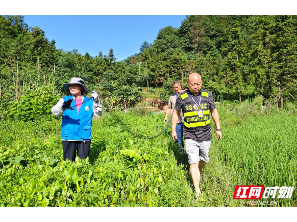 湘潭设立“巡林日” 推动林长履职尽责守护绿水青山