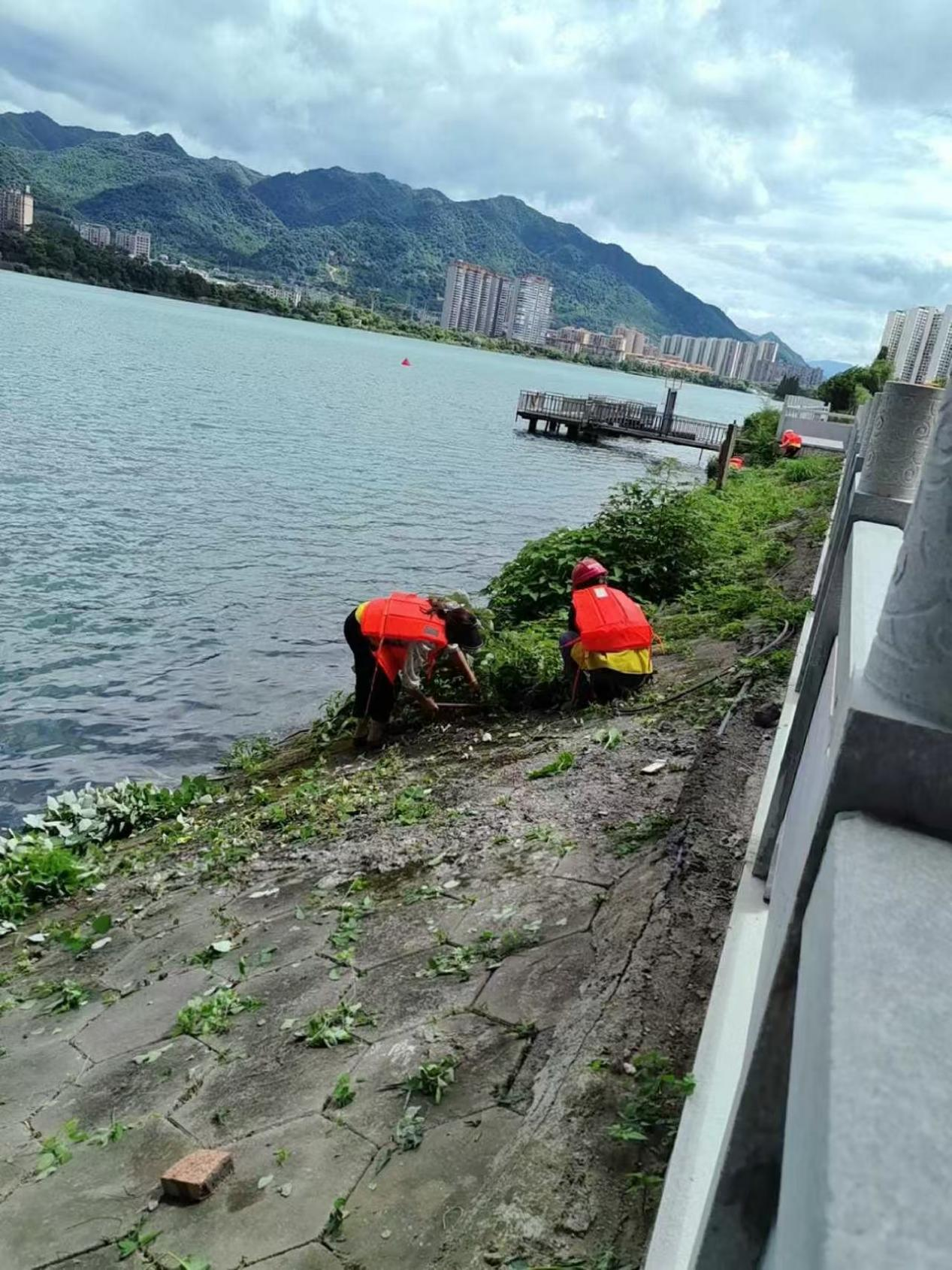 图片3.png 图片3.png