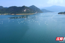 郴州：纵深推进河长制 护得碧水润福城