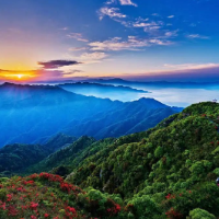 长沙银行员工挺身救人 平凡善举彰显金融担当