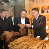 促发展 惠民生 创一流 以实干实绩开创高质量发展新局面