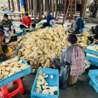 桂东青山：玉兰片飘香助增收 小竹笋撑起百姓“钱袋子”