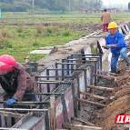 资兴市唐洞街道:改建水渠助稻田喝上"解渴水"