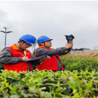 国网桂东县供电公司 “满格电力”护航春茶香