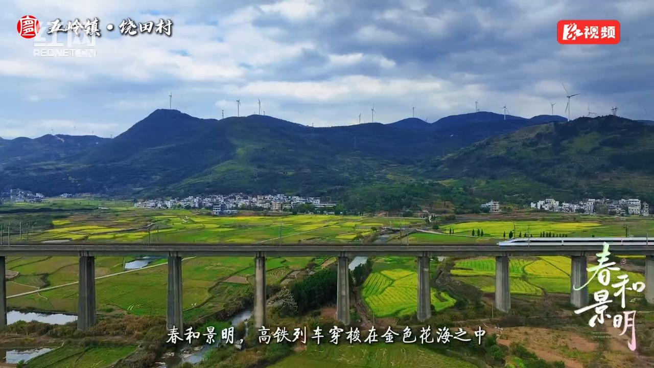 高铁穿花海 春染饶田村