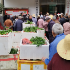 桂东普乐：党建领航践文明  助农春耕促增收