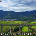 宜章县五岭镇：高铁穿花海 春染饶田村