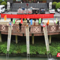 桂东县：十九载接力 3800万尾鱼苗入江